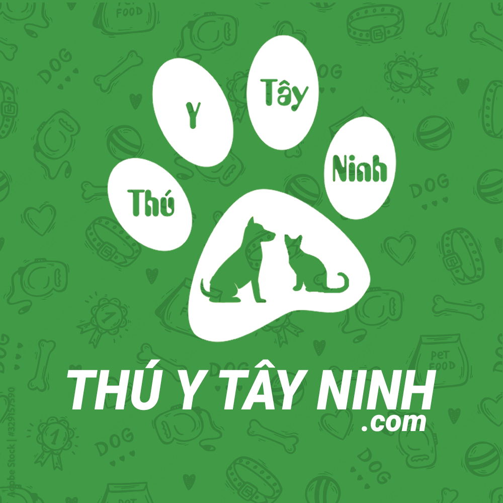 thuytayninh.com